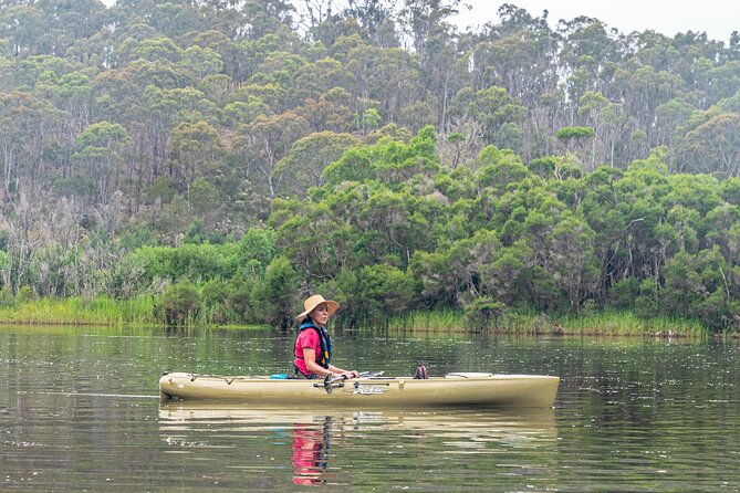 Bega River Kayaking Tour - Final Thoughts