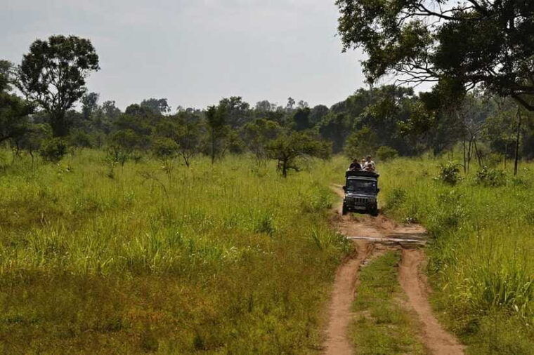 bentota-2-day-private-tour-wild-wonders-and-galle-fort