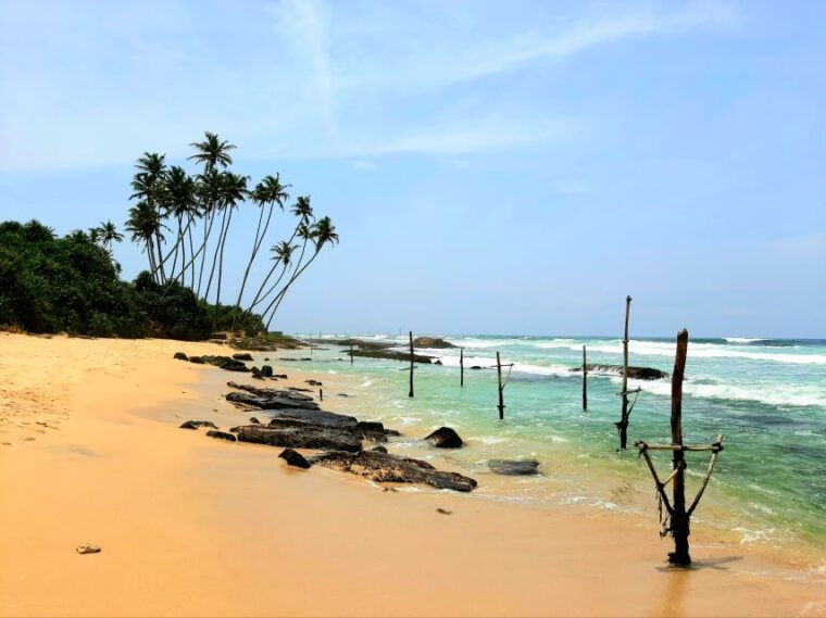 bentota-beach-river-mangroves-lagoon-wildlife-tour