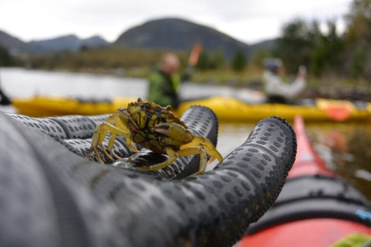bergen-guided-fishing-tour-with-outdoor-cooking