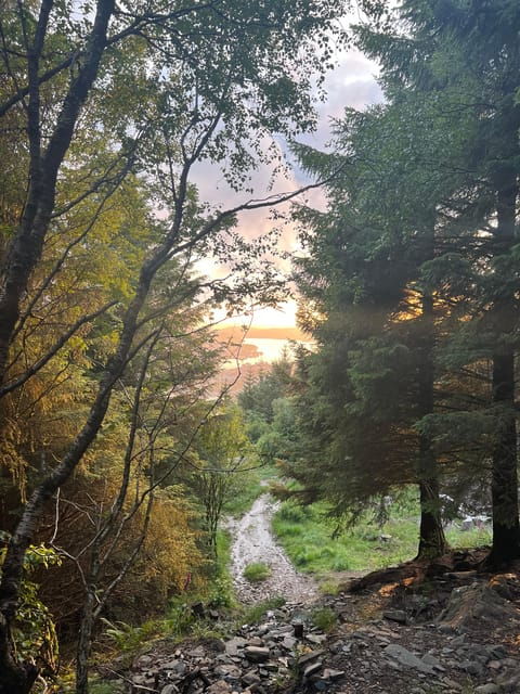 bergen-magical-nature-tour-viflowexperience