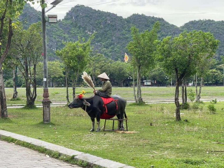 best-ninh-binh-tour-1-day-small-group-multiple-options