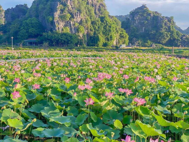 best-ninh-binh-trip-bai-dinh-mua-caves-trang-an-boat-tour