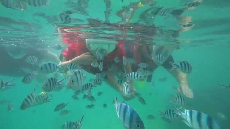bintan-snorkeling-2