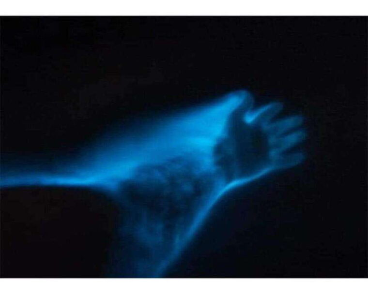 bioluminescence-in-puerto-escondido