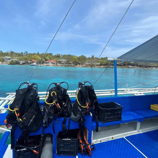 bohol-pamilacan-island-fun-dive-experience