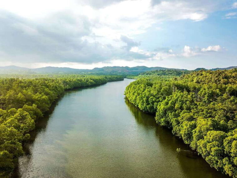 bohol-tour-package-3-day-paradise-adventure