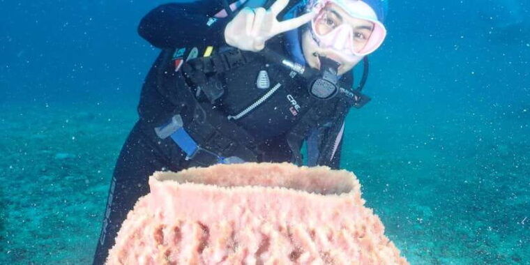 boracay-introduction-to-scuba-diving-experience