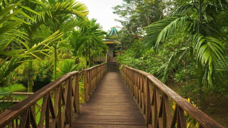 borneo-orangutan-proboscis-monkey-and-sun-bear-tour