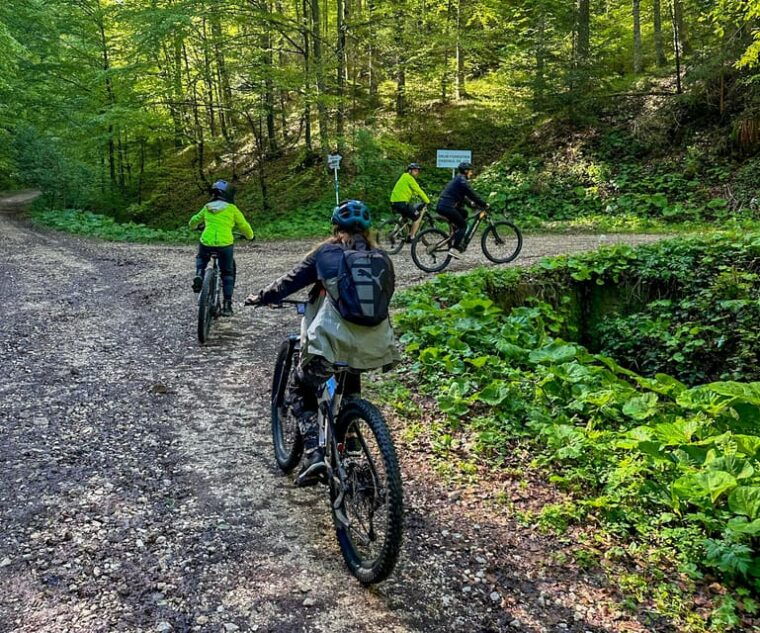 brasov-e-bike-tour-to-poiana-brasov-old-town-forest