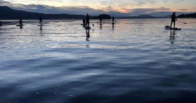 brentwood-bay-bioluminescence-tour