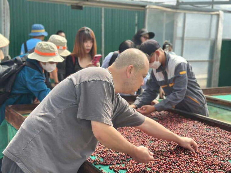 buon-ma-thuot-authentic-coffee-farm-experience-with-lunch