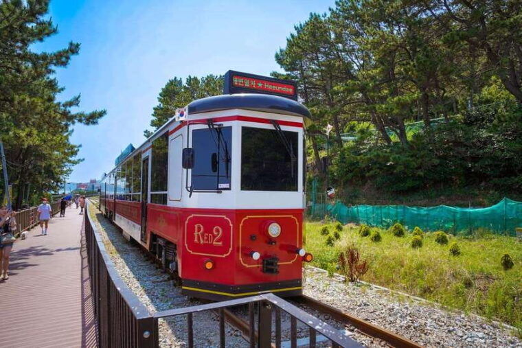busan-gamcheon-village-and-haeundae-blueline-park-tour