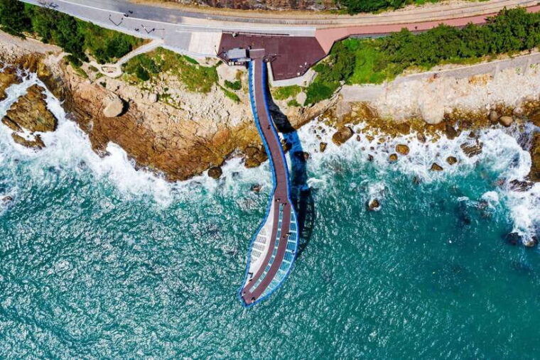 busan-max-out-city-highlights-full-day-tour