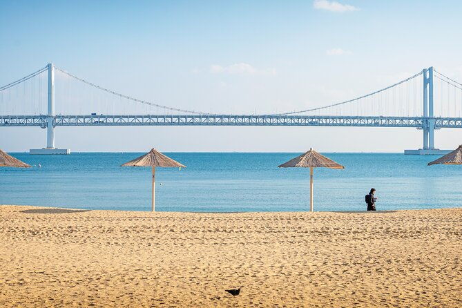 Busan Private Chauffeur Service with professional driver - Final Thoughts