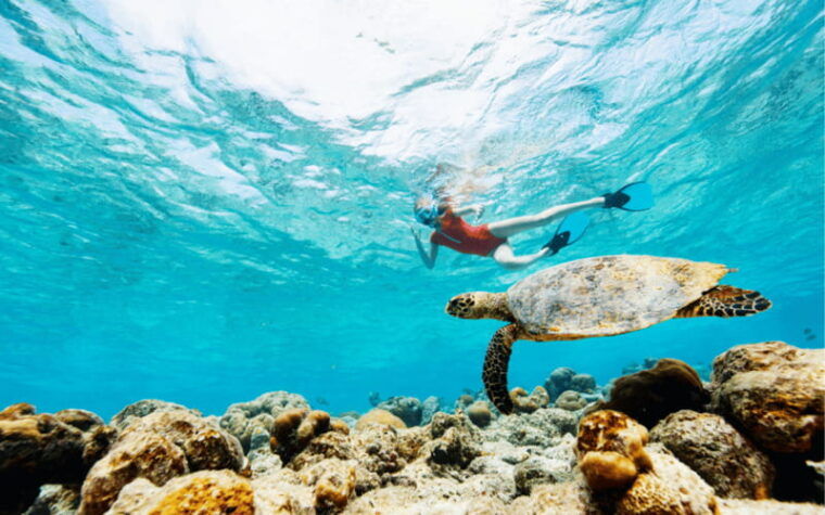 cabo-san-lucas-snorkel-tour-tour-to-the-arch