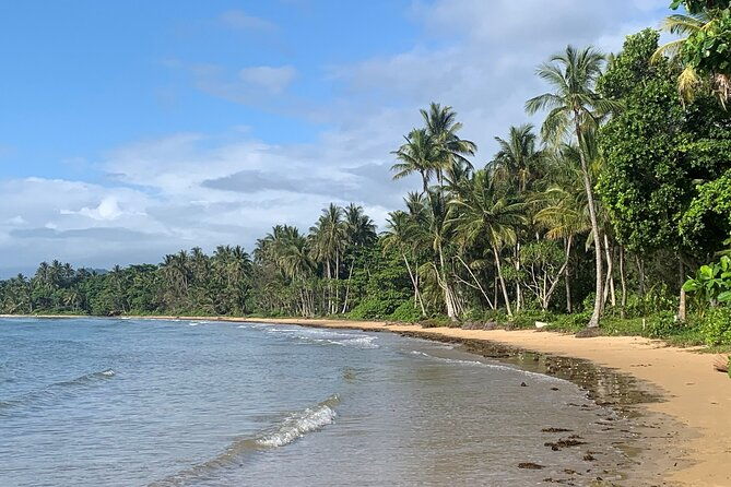 Cairns: Semi-Private | Outer Reef Snorkel & Dunk Island - FAQ