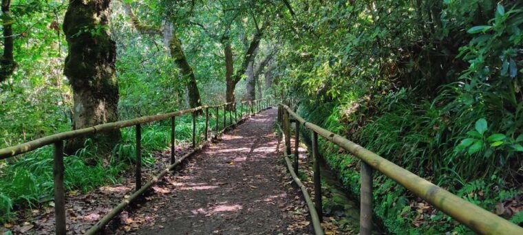 caldeirao-verde-burned-pr9-transfer-self-guided-hike