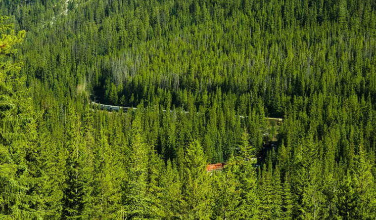 calgary-banff-to-emerald-lake-lake-louise-johnston-canyon