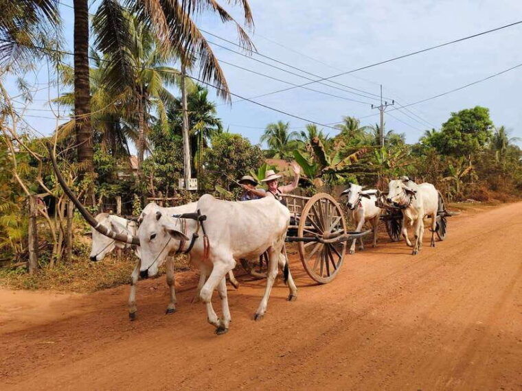 cambodia-cooking-class-oxcart-ride-with-local-village-tour