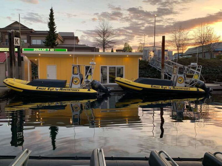 campbell-river-discovery-passage-wildlife-zodiac-boat-tour