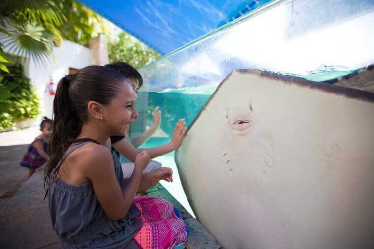 cancun-interactive-aquarium-admission-dolphin-presentation