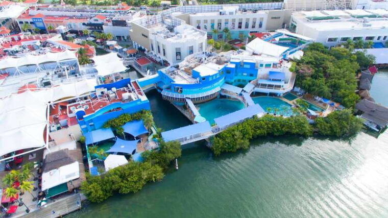 cancun-interactive-aquarium-admission