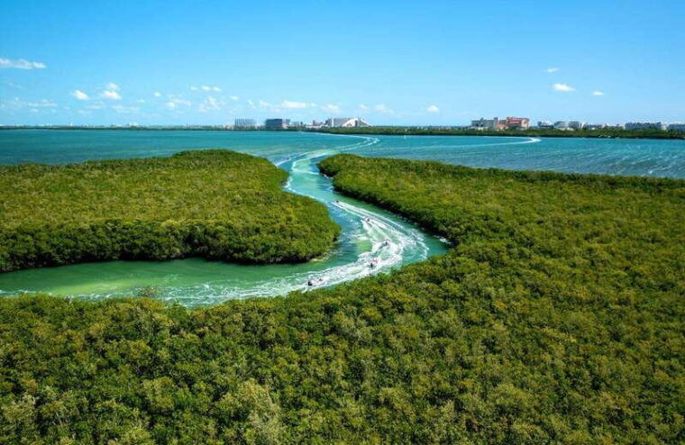 cancun-jungle-tour-adventure-with-speedboat-and-snorkeling