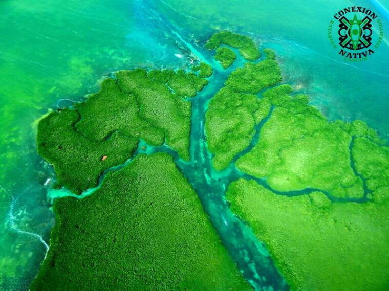 cancun-morning-or-sunset-kayak-adventure-in-nichupte-lagoon