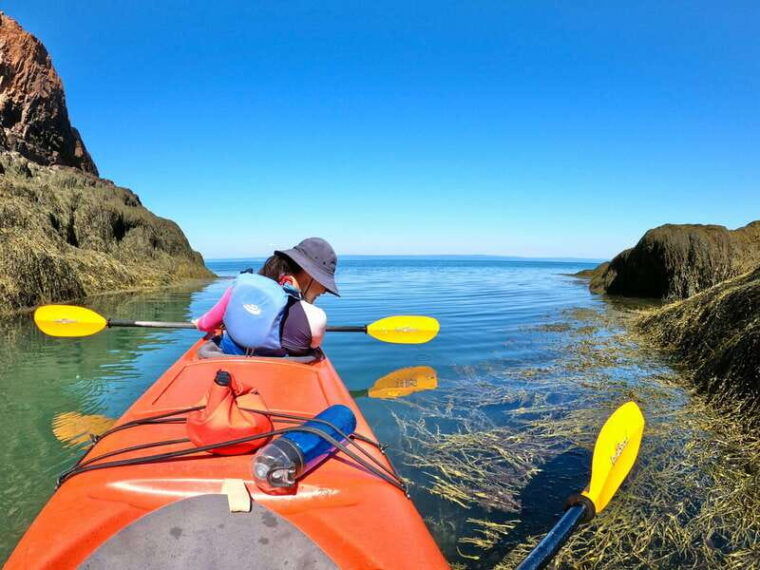 cape-chignecto-three-sisters-kayaking-day-tour