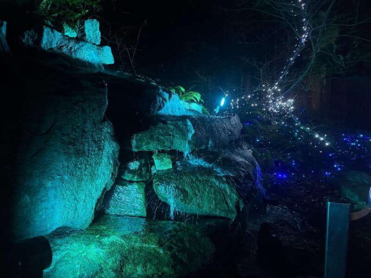 capilano-suspension-bridge-charismas-canyon-light-lux-car