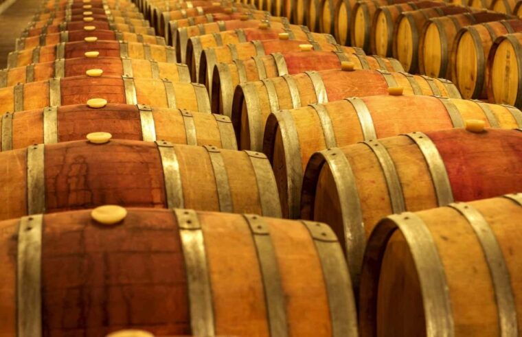cappadocia-private-half-day-vineyards-wine-tasting-tour