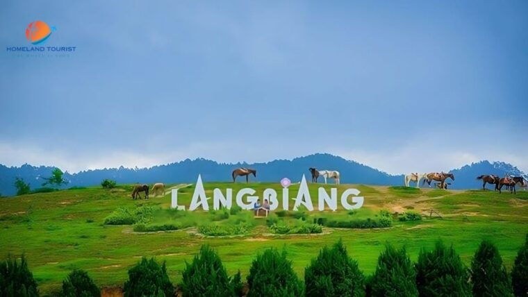 car-rental-service-in-dalat-private-with-driver