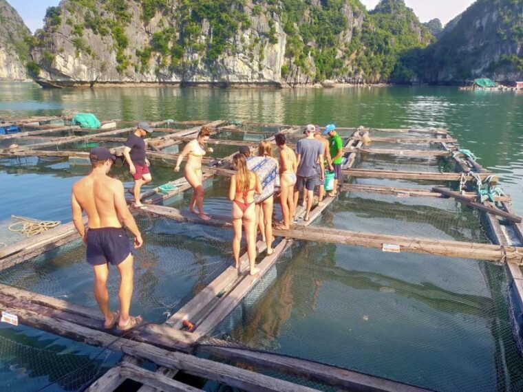 cat-ba-island-full-day-cruise-to-lan-ha-bay-and-ha-long-bay