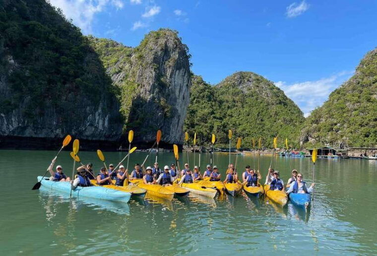 cat-ba-island-lan-ha-bay-bioluminescence-plankton-kayaking