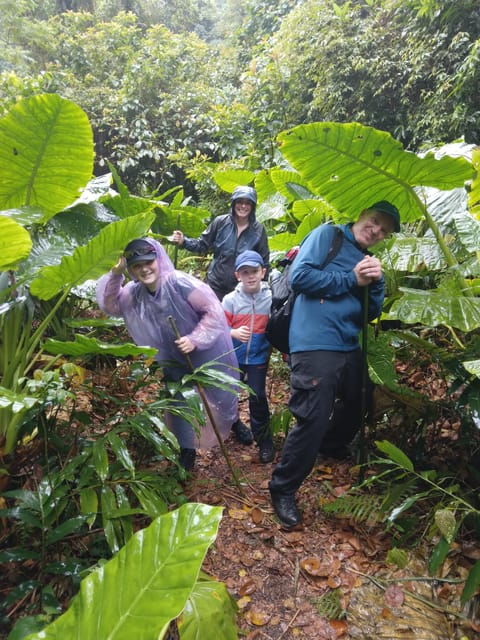 cat-ba-national-park-full-day-guide-tour-trekking-kayaking