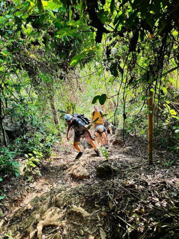 cat-ba-national-park-lan-ha-bay-2-days-1-night-adventure