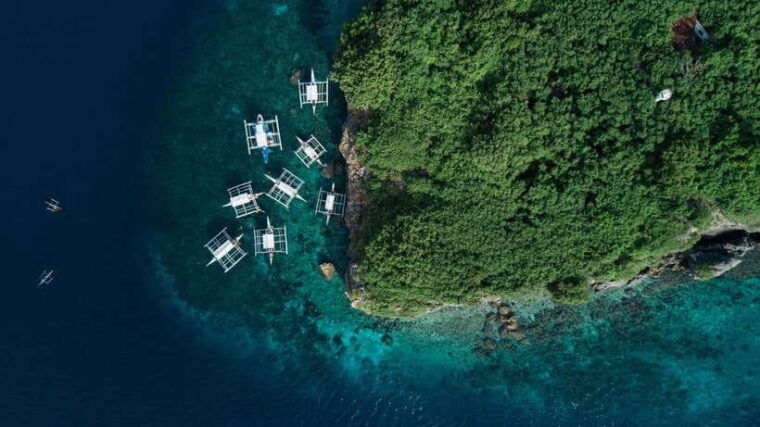 cebu-moalboal-sardines-and-turtles-snorkeling-tour