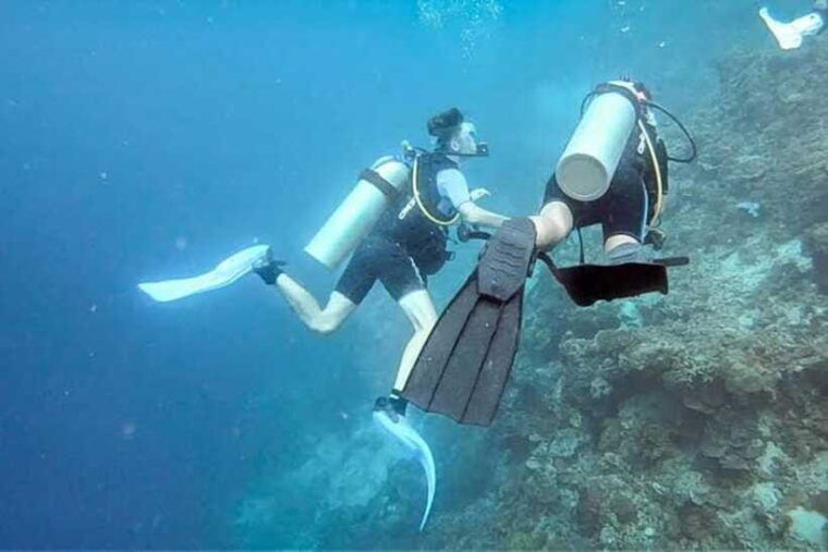 cebu-moalboal-scuba-diving-sardines-run-pescador-snorkel