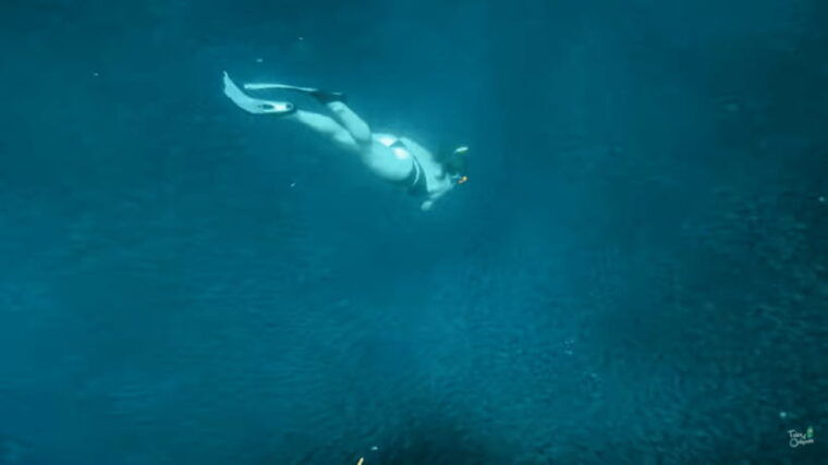 cebu-moalboal-snorkeling-kawasan-canyoneering-adventure