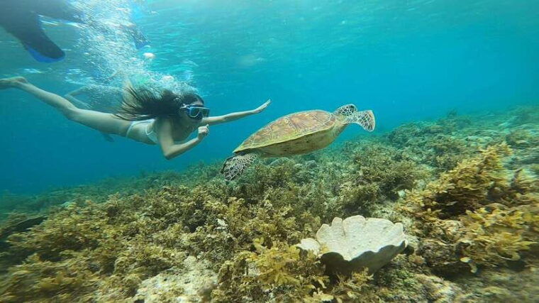 cebu-osmena-peak-hike-and-sardines-run-snorkel-adventure