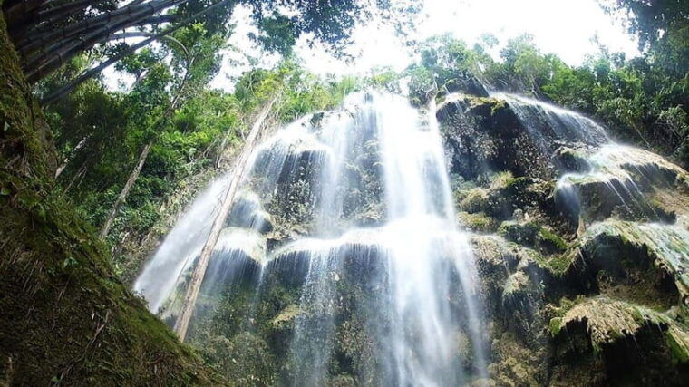 cebu-whaleshark-encounter-tumalog-falls-monkey-viewing