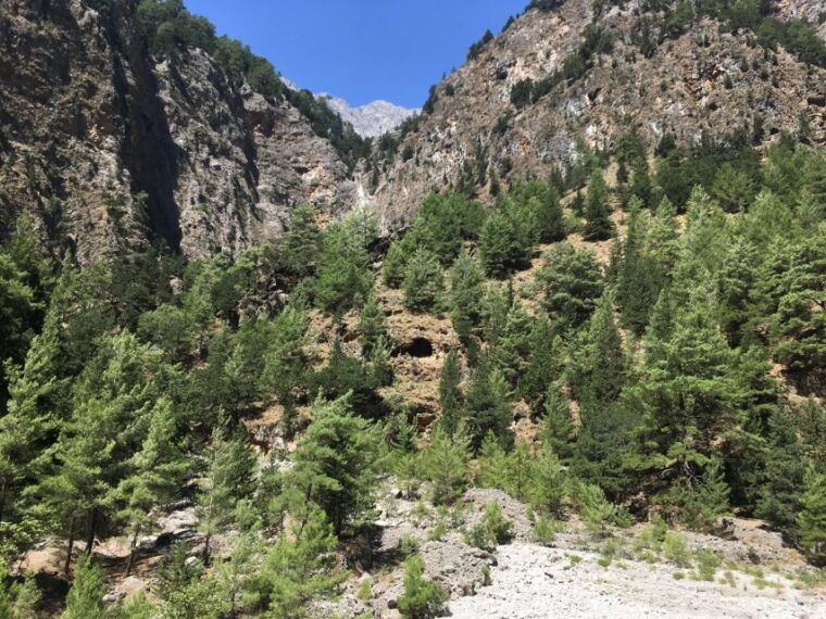 chania-white-mountains-private-tour-from-sea-to-summit-2