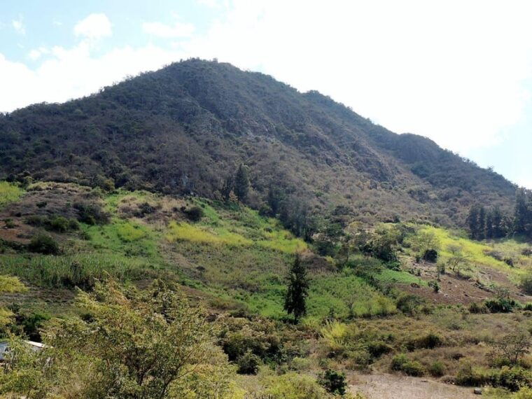 chaparri-ecological-reserve-nature-and-conservation