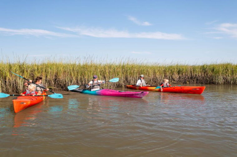 charleston-folly-beach-kayak-dolphin-safari