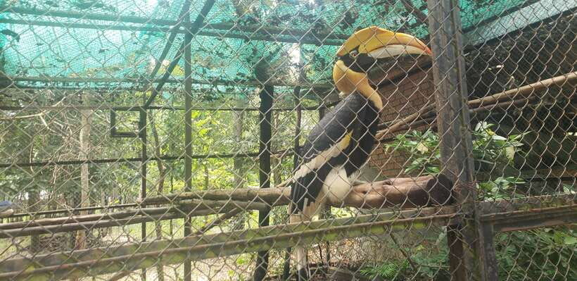 chi-so-mountain-_-ta-moa-zoo_-bati-temple-tour