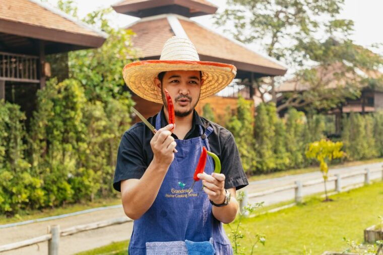 chiang-mai-authentic-thai-cooking-class-and-farm-visit