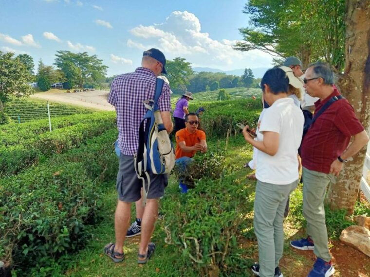 chiang-rai-popular-sightseeing-tour-7-places-buffet-lunch