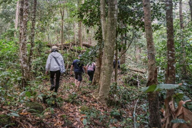 chiangmai-hilltribe-coffee-forest-trek-plant-roast-brew
