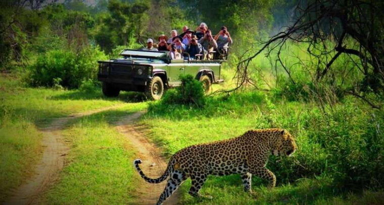 chitwan-1-night-jungle-safari-with-transfers-from-kathmandu